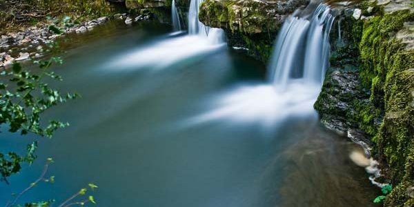 mantenimiento piscina natural