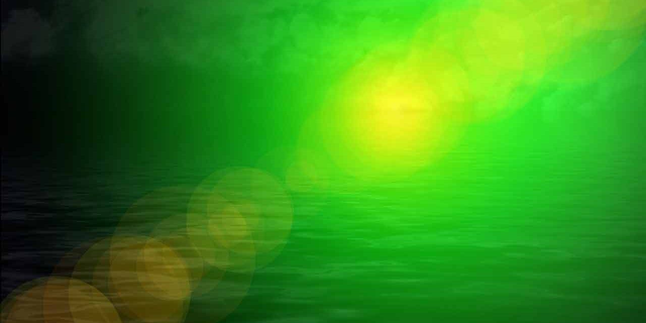 Agua verdosa con algas