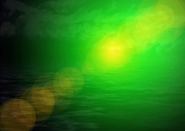 Agua verdosa con algas