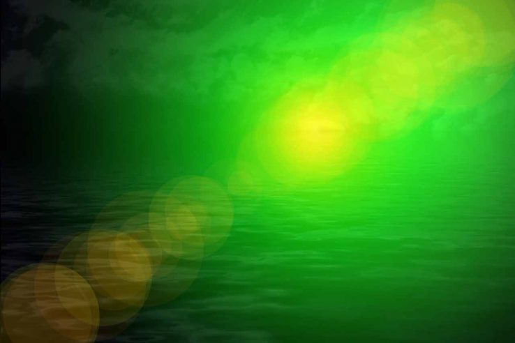 Agua verdosa con algas